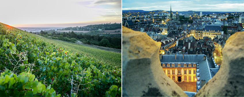 Dijon, Capital of taste and Art de Vivre - Photos: ©CIVG/  ©AAAB